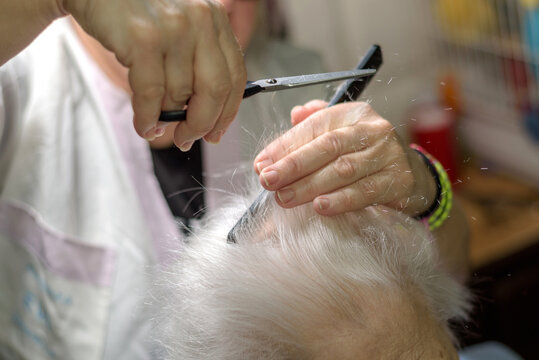 Primer plano de una peluquera cortando el pelo a una persona mayor.  La escena es &iacute;ntima y se centra en el detalle del corte de pelo.