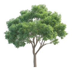 Fototapeta premium a lush. green tree with a broad canopy and a sturdy trunk. set against a plain white background its vibrant foliage suggests a healthy plant. symbolizing growth and nature this illustration can be use