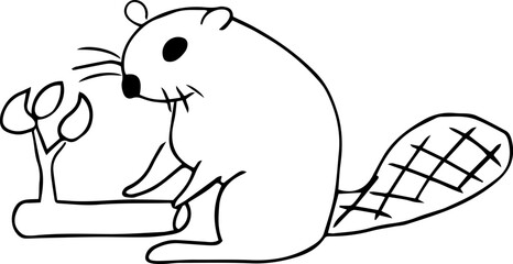 The beaver sits on its hind legs, leaning on its tail and holding a tree branch with its front paws