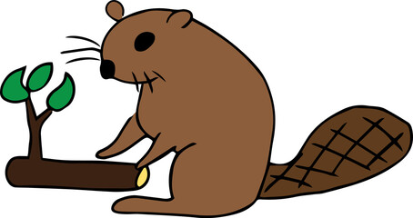 brown beaver sits on its hind legs leaning on its tail and holding a tree branch with green leaves