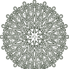 Beautiful flower art and mandala vector design