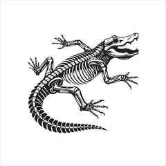 illustration of a dragon