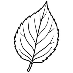 black and white leaf