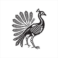 peacock feather isolated on white