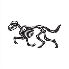 zebra crossing the street