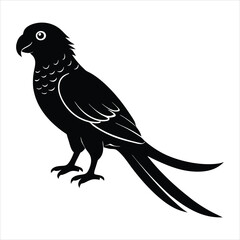  Extinct animal Carolina parakeet silhouette vector illustration.