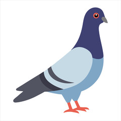Full body of speed racing pigeon bird vector illustration