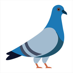 Full body of speed racing pigeon bird vector illustration