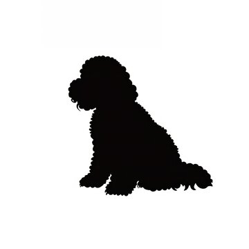 recommend clip art: Collection portrait Poodle dog silhouette animal pet