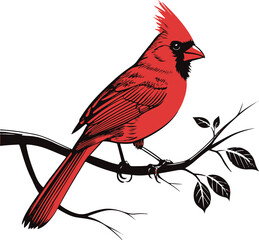 Isolated black bird icon Vector, black bird Silhouette,black bird icon set, black bird for logo,color black bird Vector illustration, Vector Graphic, EPS 10 , clip art work