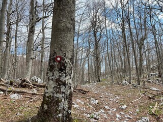 Premuzic hiking trail or Premuzic Trail - Velebit Nature Park, Croatia or Premuzic-Wanderweg or Premuzic's Trail (Pješački planinarski put Premužićeva staza - Park prirode Velebit, Hrvatska)