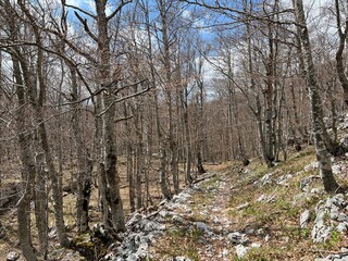 Premuzic hiking trail or Premuzic Trail - Velebit Nature Park, Croatia or Premuzic-Wanderweg or Premuzic's Trail (Pje&scaron;ački planinarski put Premužićeva staza - Park prirode Velebit, Hrvatska)