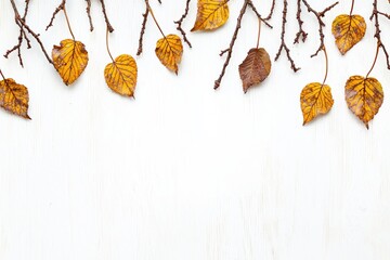 Fototapeta premium A collection of dry, fallen leaves and branches arranged artistically on a light background, creating an autumn-themed composition.