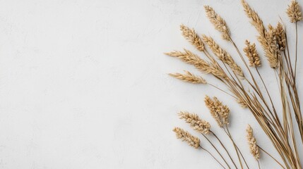 Dried wheat stems artwork mockup in minimal frame nature inspired decor bright white background
