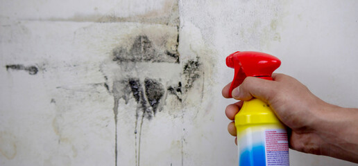 Mold Removal Spray on Wall
