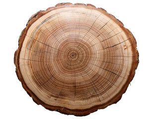 Obraz premium Natural Wood Log Slice