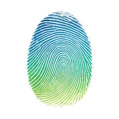Detailed vibrant fingerprint isolated on transparent background