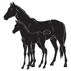 Mare with foal black silhouette horse on white background, vector