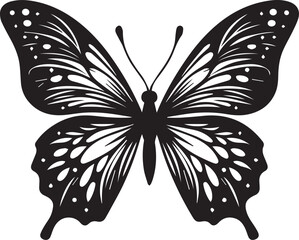 butterfly vector