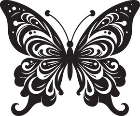 black and white butterfly