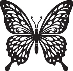 butterfly isolated on white