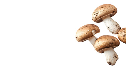 Fototapeta premium Fresh Brown Mushrooms Closeup Fungi Food Ingredient Cooking Recipe Gourmet Edible