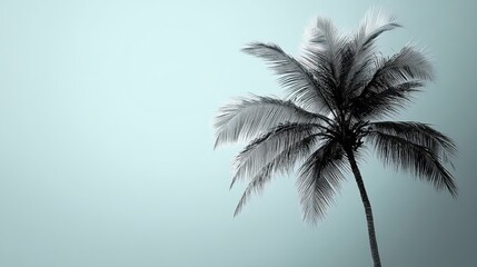 Fototapeta premium Monochrome palm tree against pastel sky, tropical backdrop, design element