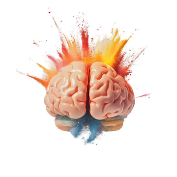 Human Brain  Creativity  Idea Explosion  Colorful Splash  Mind Power  Innovation  Neurolog