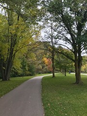path in the park