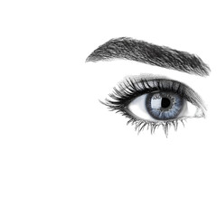 Close up Monochrome Eye  Eyebrow  Lashes  Gaze  Vision  Look  Iris  Pupil  Beauty  Makeup