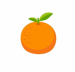 Orange fruit isolated on a white background.