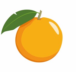 Orange fruit isolated on a white background.