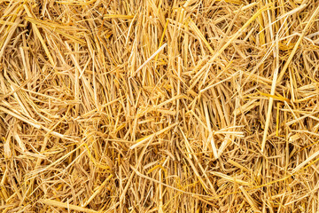 Close up image detail of straw bale