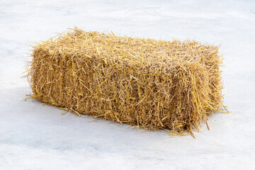 straw bale were placed on the cement floor