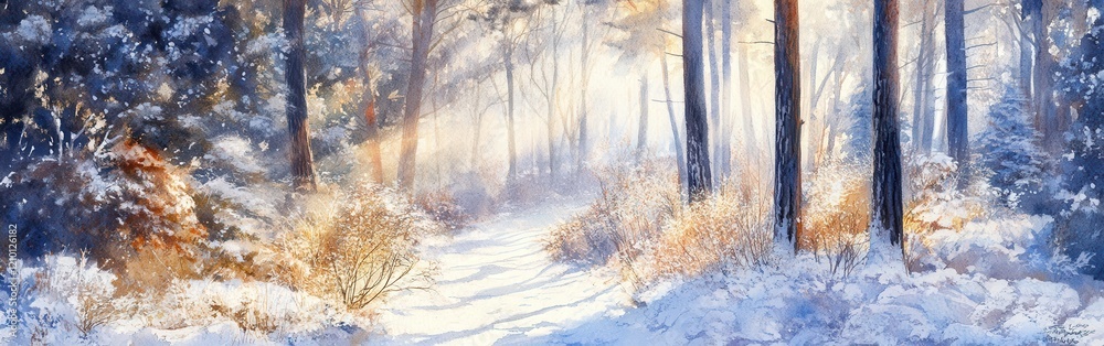 Aufkleber winter forest landscape in soft watercolor with sunlight filtering through trees and snow-covered gr