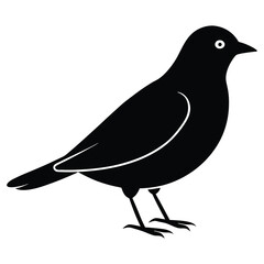 Lark Bird Vector Silhouette Elegant Wildlife Graphics for Nature-Inspired Designs