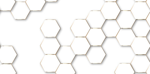 Abstract white hexagon background. Vector Illustration. Hexagon concept design abstract technology background.  3D Futuristic abstract honeycomb mosaic white background. 