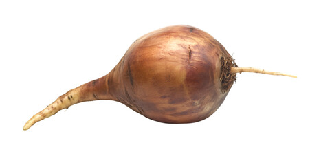 Assorted Edible Food Items Isolated on Transparent White Background