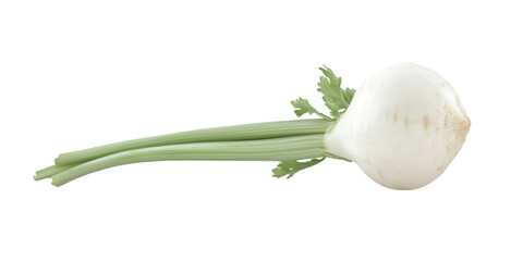 Assorted Edible Food Items Isolated on Transparent White Background