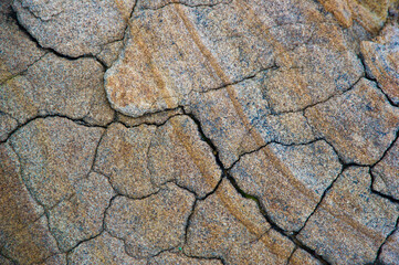 Natural texture of an ancient rock with cracks and green weed in Porto Ferro, Sassari, Sardegna, Italy