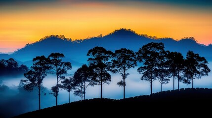 Fototapeta premium Ethereal mist enveloping rolling tea plantations in landscape photography at dawn