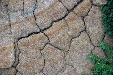 Natural texture of an ancient rock with cracks and green weed in Porto Ferro, Sassari, Sardegna, Italy