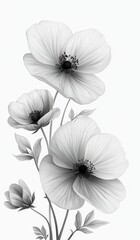 Outline individual elements of a floral collection featuring Eustoma in black line art style. Clip art illustrations are isolated on a transparent background