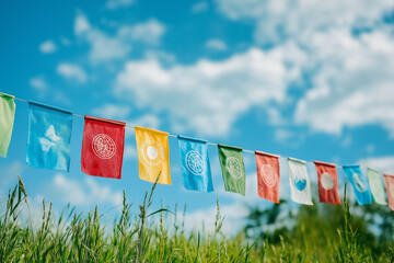 Sustainable development goals project