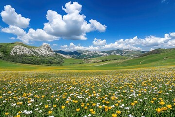 Serene Mountain Meadow: A Vibrant Tapestry of White and Yellow Wildflowers