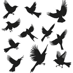 Obraz premium Flock of Birds Silhouette Flying Birds Nature Wildlife Avian Black Graphic Design I