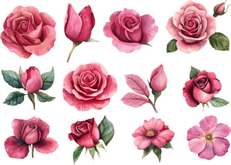 Naklejka premium seamless pattern with roses