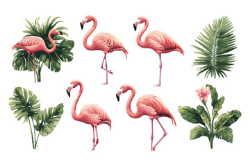 Obraz premium flamingos isolated on white t shirt bundle vector design