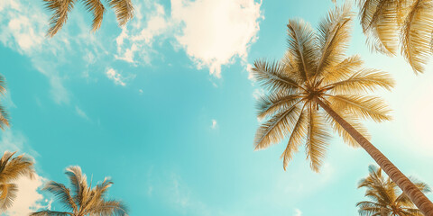 Palm trees against blue sky. Summer beach background, tropical travel banner.