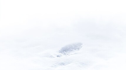Polar bear resting in snowy Arctic fog, blizzard background; wildlife conservation